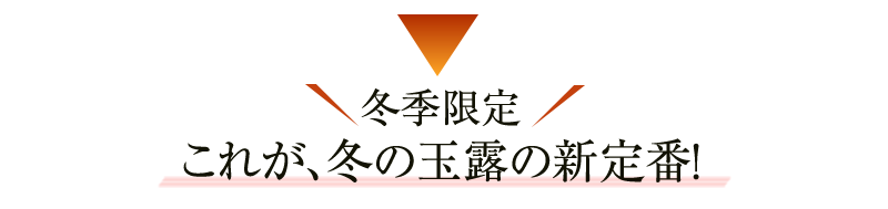冬季限定 これが、冬の玉露の新定番!