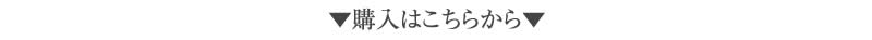 購入はこちらから