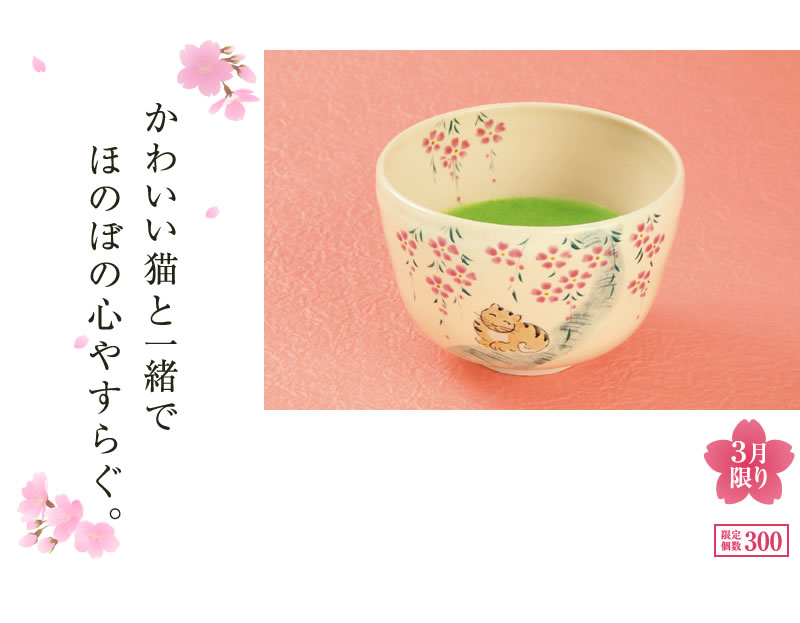 かわいい猫と一緒でほのぼの心やすらぐ。