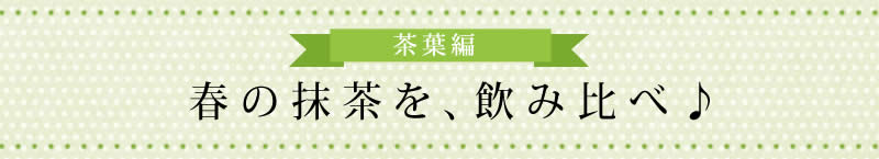 茶葉編 春の抹茶を、飲み比べ♪