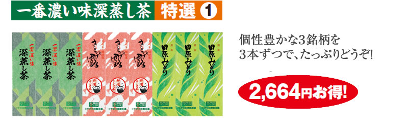 一番濃い味深蒸し茶 特選(1)