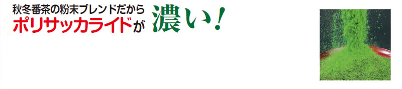 秋冬番茶の粉末ブレンドだからポリサッカライドが濃い!