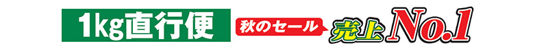 1kg直行便 秋のセール 売上N0.1