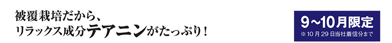 被覆栽培だから、リラックス成分テアニンがたっぷり! 9~10月限定※10月29日当社着信分まで