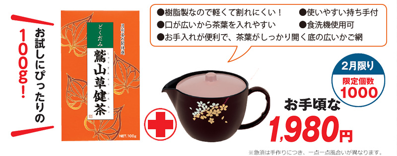 2月限り 限定個数1000 お手頃な1,980円