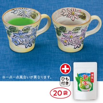 深蒸し新茶ティーバッグセット