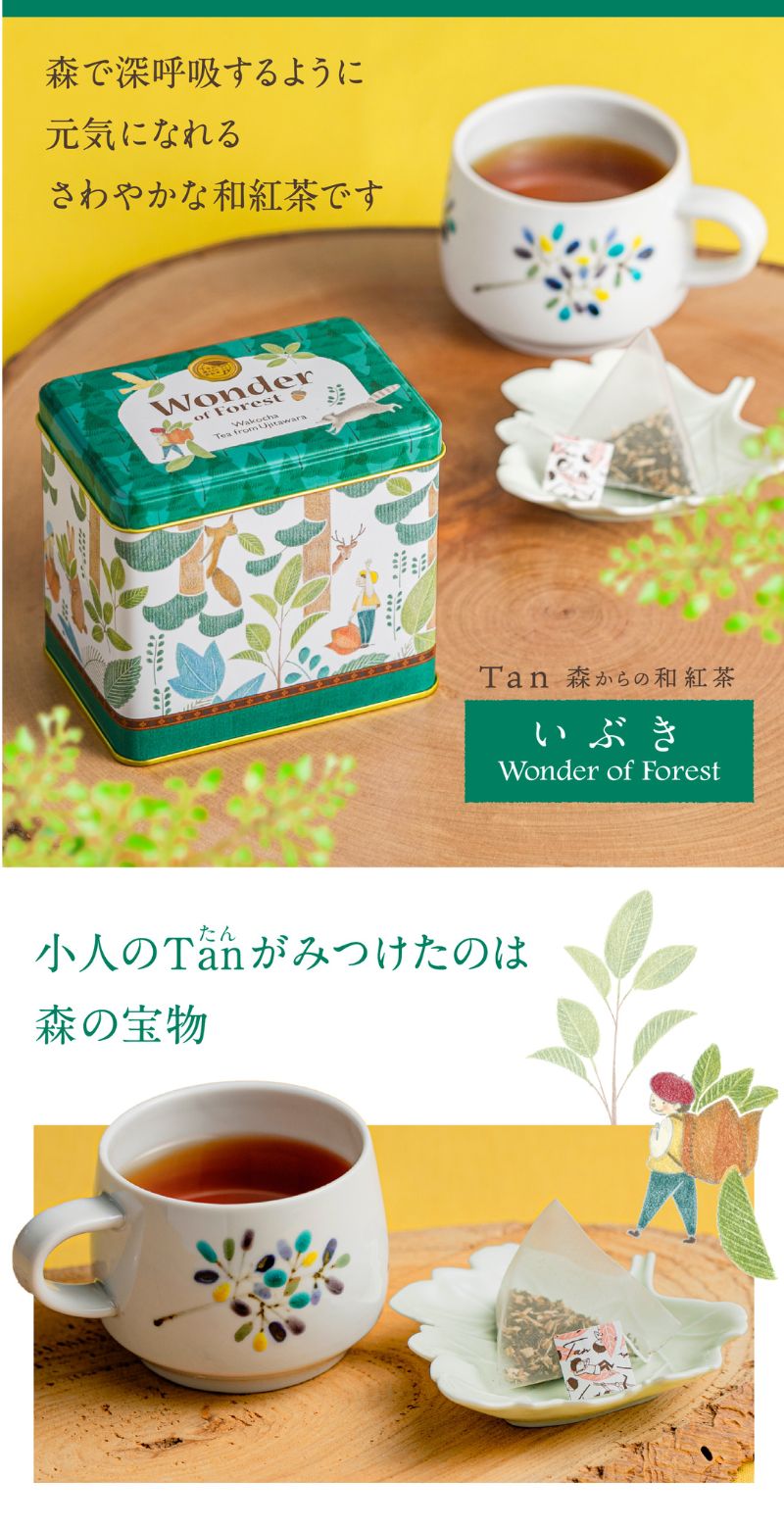 森からの和紅茶いぶき15P缶