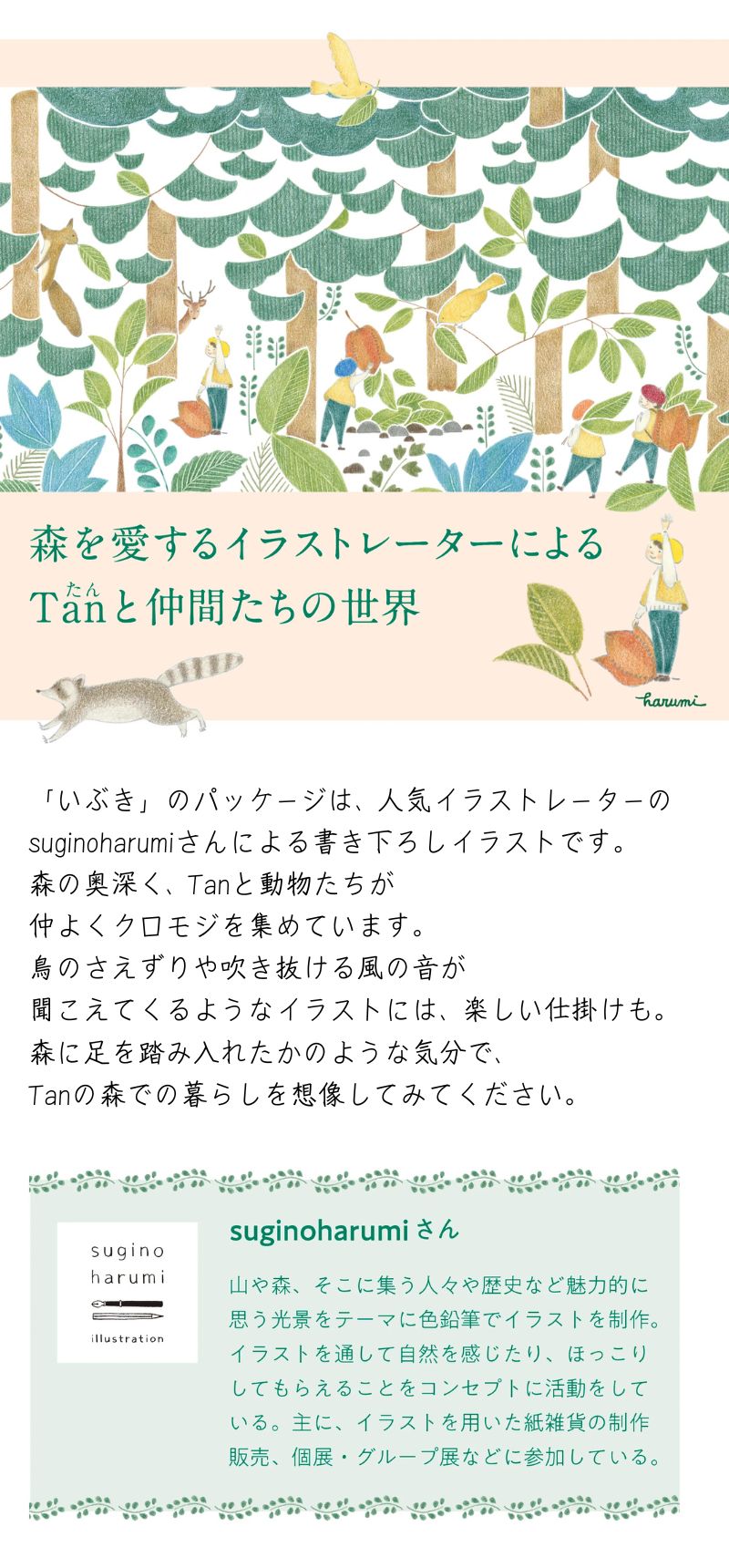森からの和紅茶いぶき15P缶