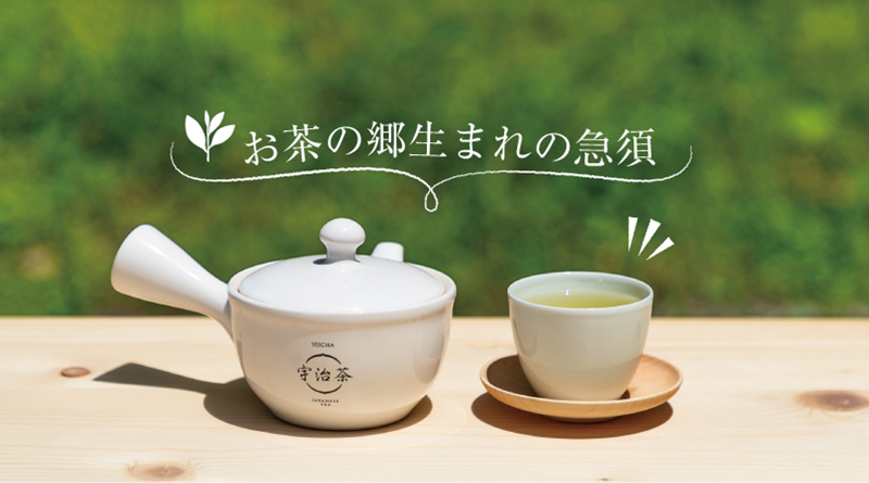 お茶の郷生まれの急須