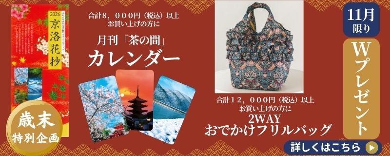 11月限りWプレゼント