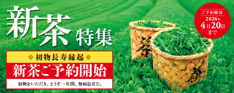 新茶特集