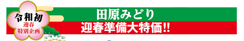 田原みどり 迎春準備大特価!!