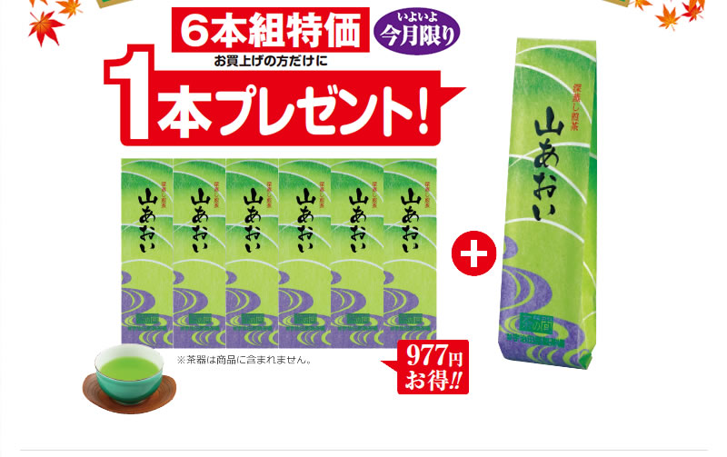 いよいよ今月限り 6本組特価お買上げの方だけに1本プレゼント!