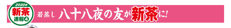 2020年新茶速報(4) 若蒸し 八十八夜の友が新茶に!