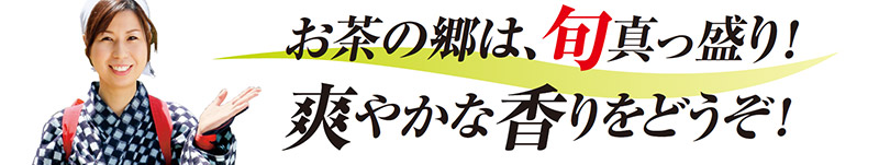 お茶の郷は、旬真っ盛り!爽やかな香りをどうぞ!