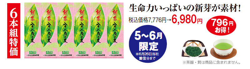 6本組特価 税込価格7,776円→6,980円 796円お得! 5~6月限定※6月26日当社着信分まで