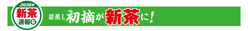2020年新茶速報(6) 若蒸し 初摘が新茶に!