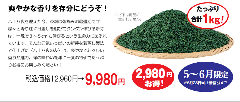 税込価格12,960円→9,980円 2,980円お得! 5~6月限定※6月28日当社着信分まで
