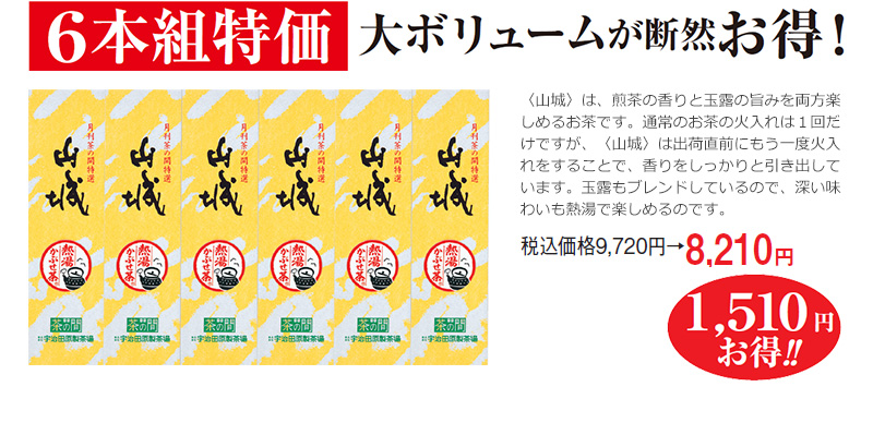 6本組特価 大ボリュームが断然お得!