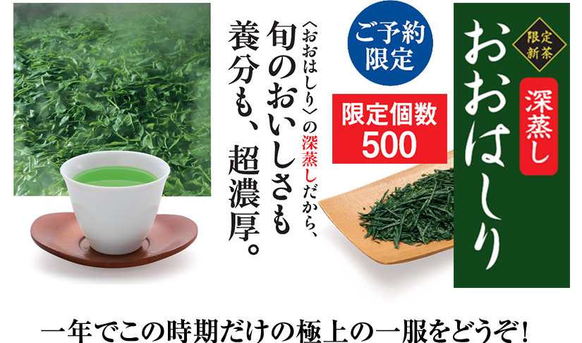 2022年産新茶 深むし茶金フレーム100g 6本 令和4年産 自園深蒸し茶 １番茶新芽農薬を散布していません 注文割引 6本