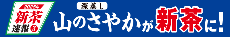 2025年新茶速報3 深蒸し山のさやかが新茶に!