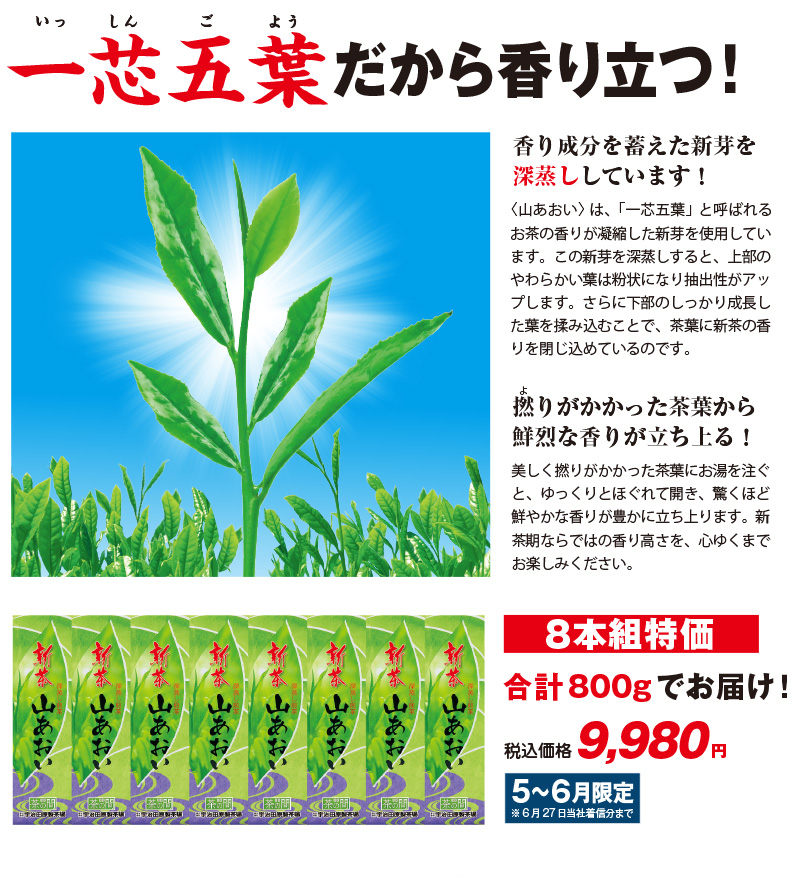 深蒸し新茶「山あおい」