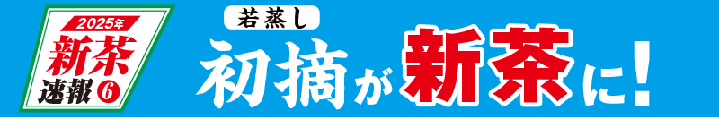 2025年新茶速報6 深蒸し初摘が新茶に!