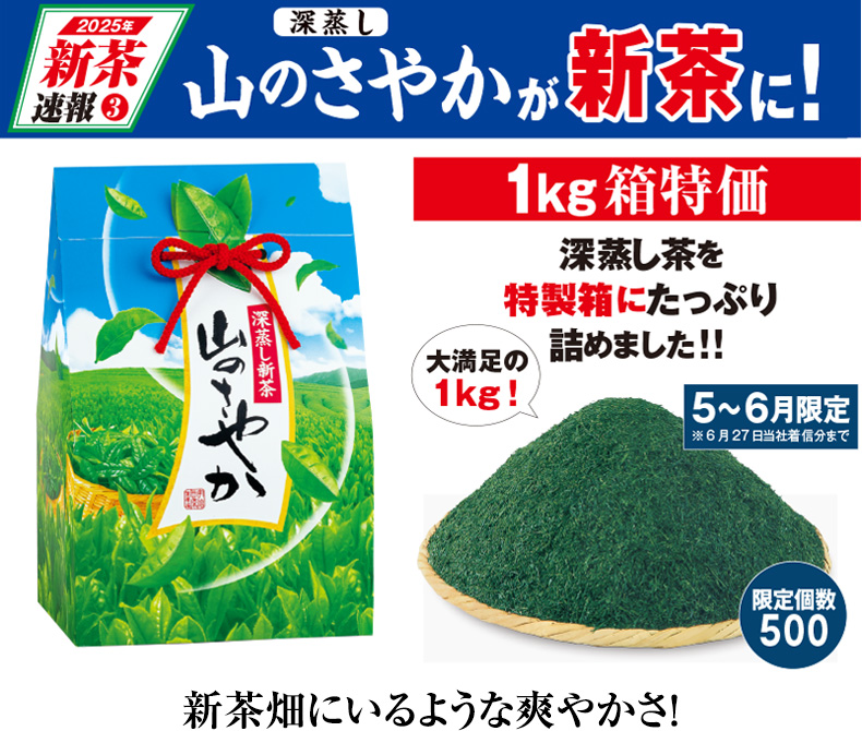 新茶畑にいるような爽やかさ!