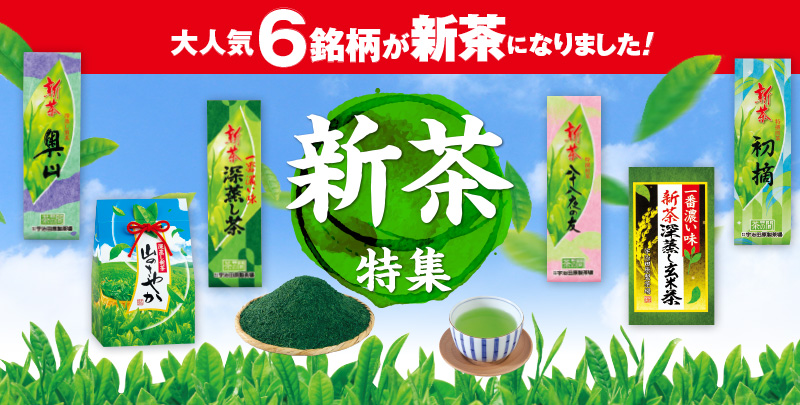 新茶特集