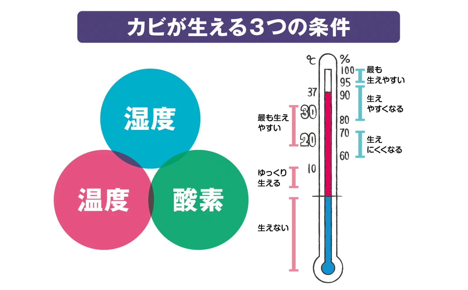 カビが生える3つの条件を示した図とイラスト