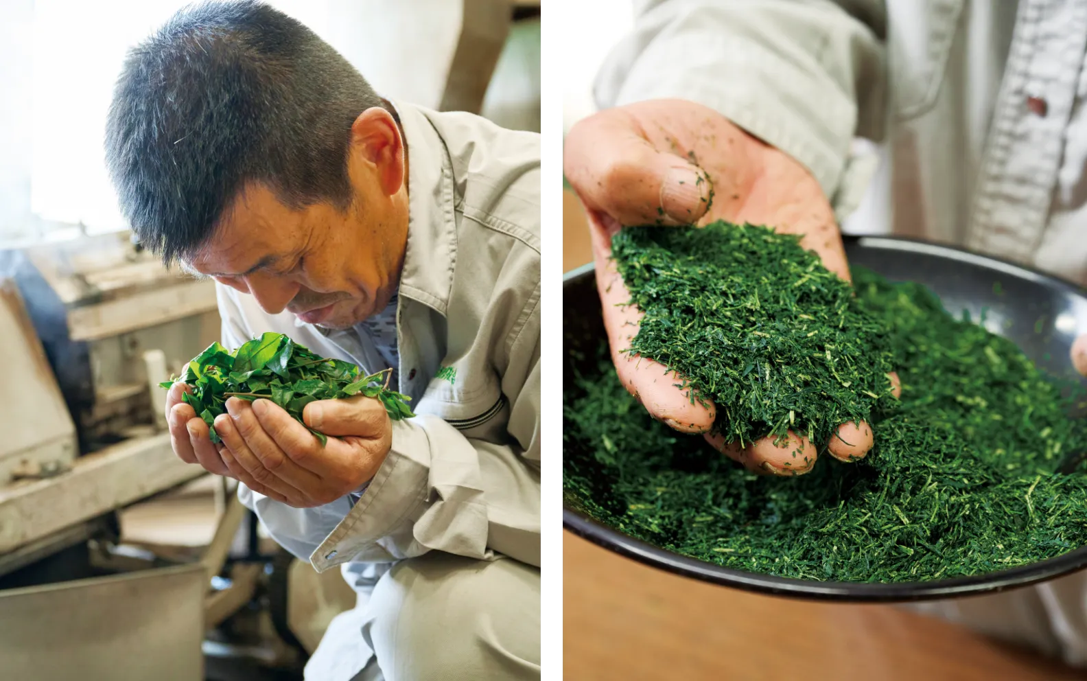 お茶の品質を確かめる画像