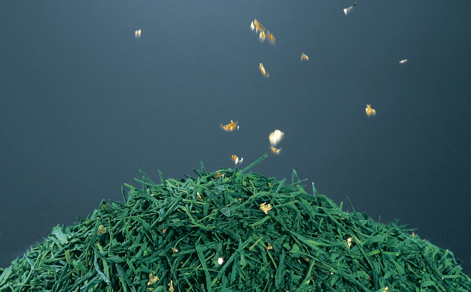 煎茶の葉と金粉の画像