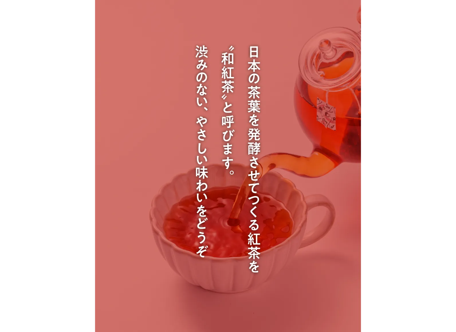 和紅茶を注いでいる画像に和紅茶の説明が添えられた画像