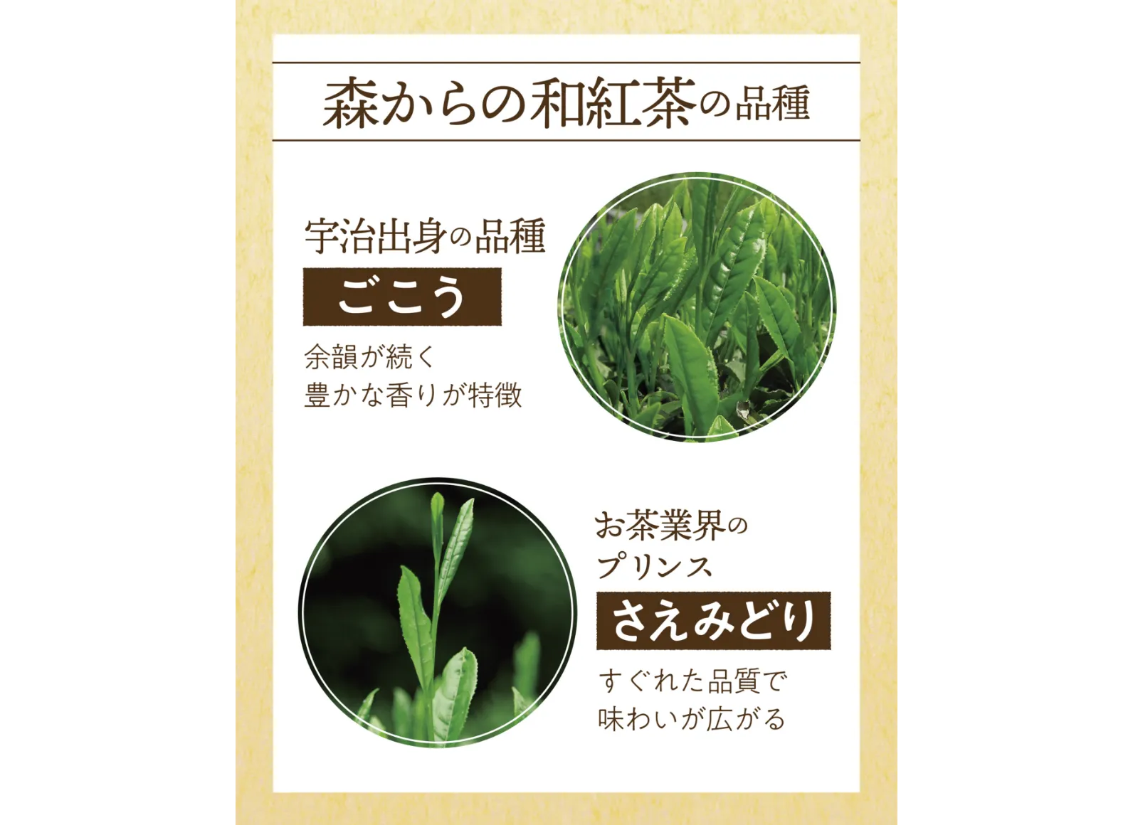ごこうとさえみどりの茶葉と説明書きの画像