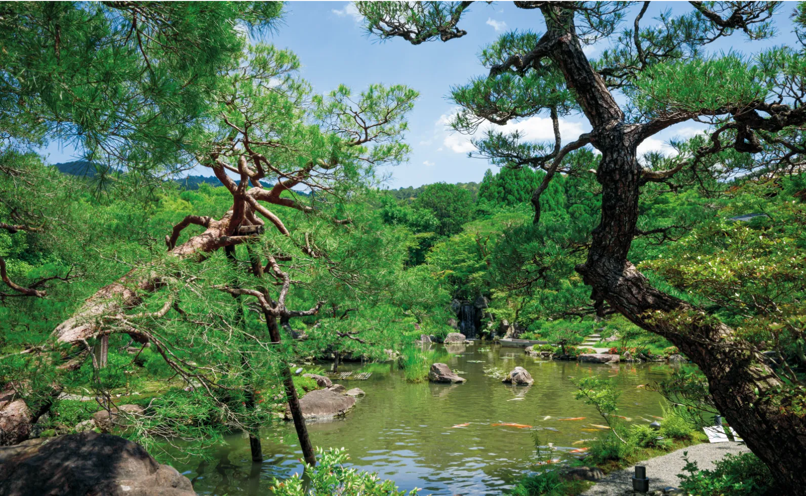 腰掛待合からの景色の画像