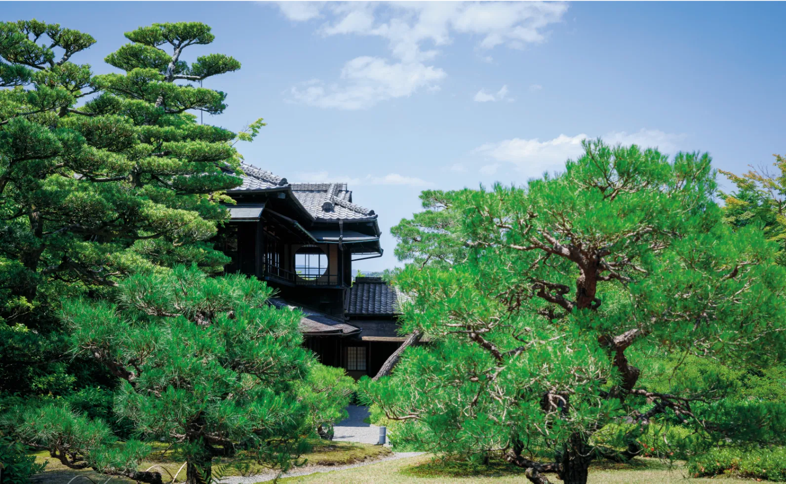 庭の南側からの景色の画像