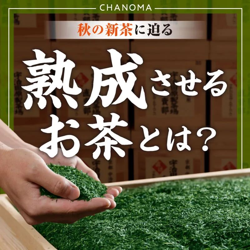 旬のお茶、蔵出し茶の秘密に迫るサムネイル画像