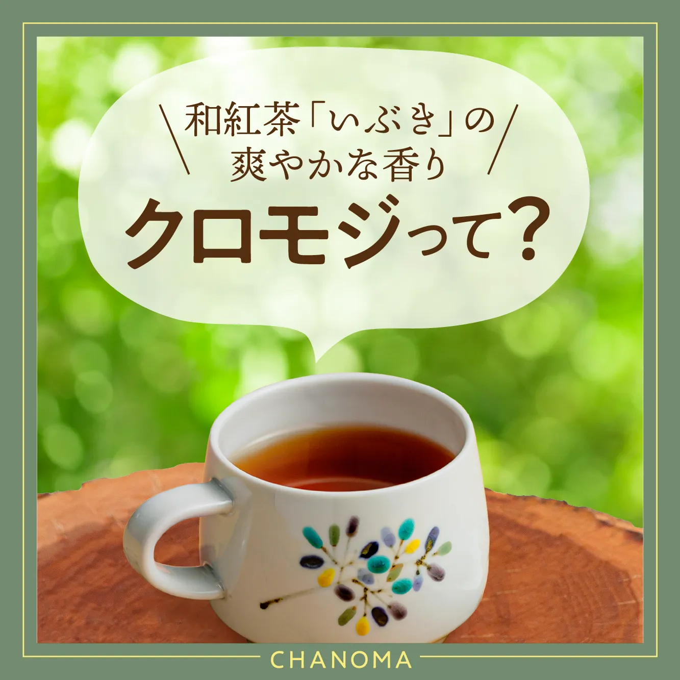 【和紅茶×クロモジ】森で深呼吸したような癒しの香りの秘密のサムネイル画像