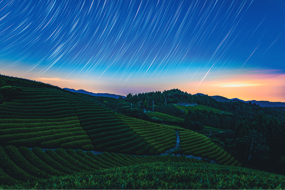 茶畑と星の軌跡