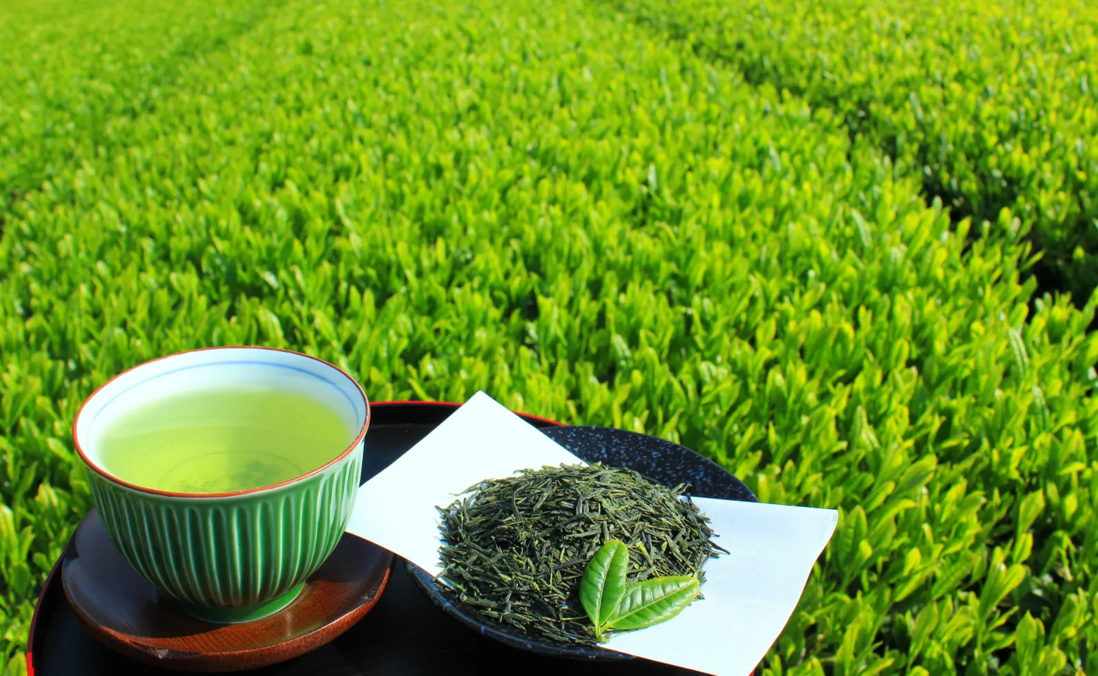 お茶と茶畑の画像