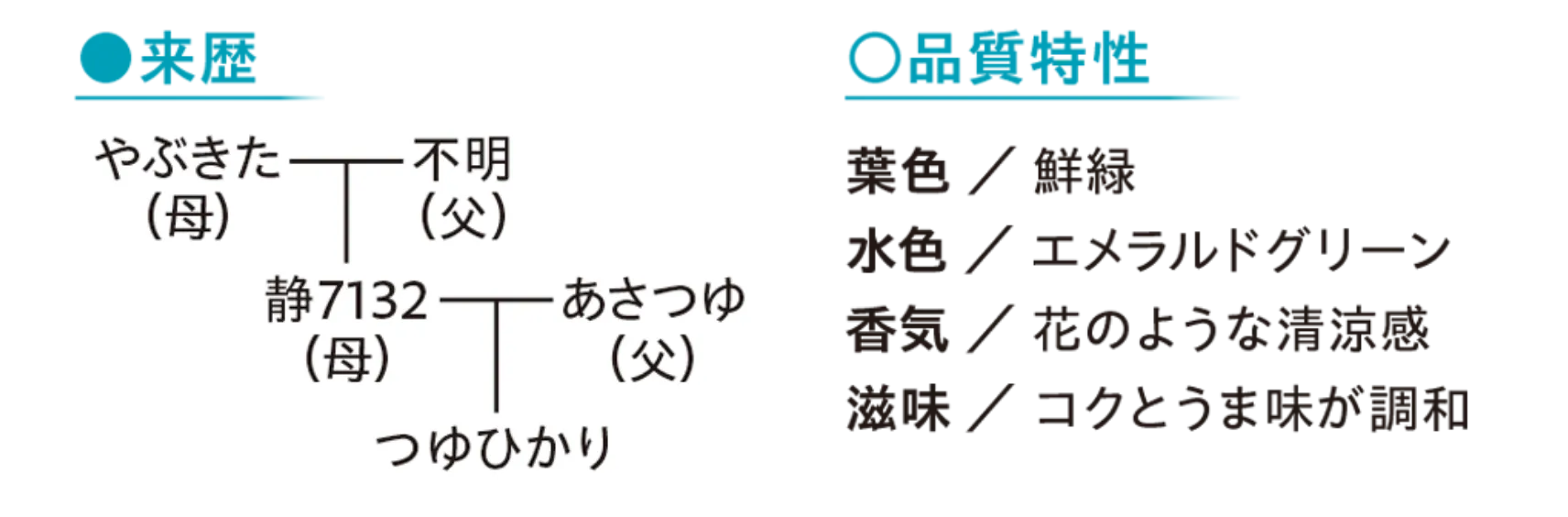 つゆひかりの来歴の画像