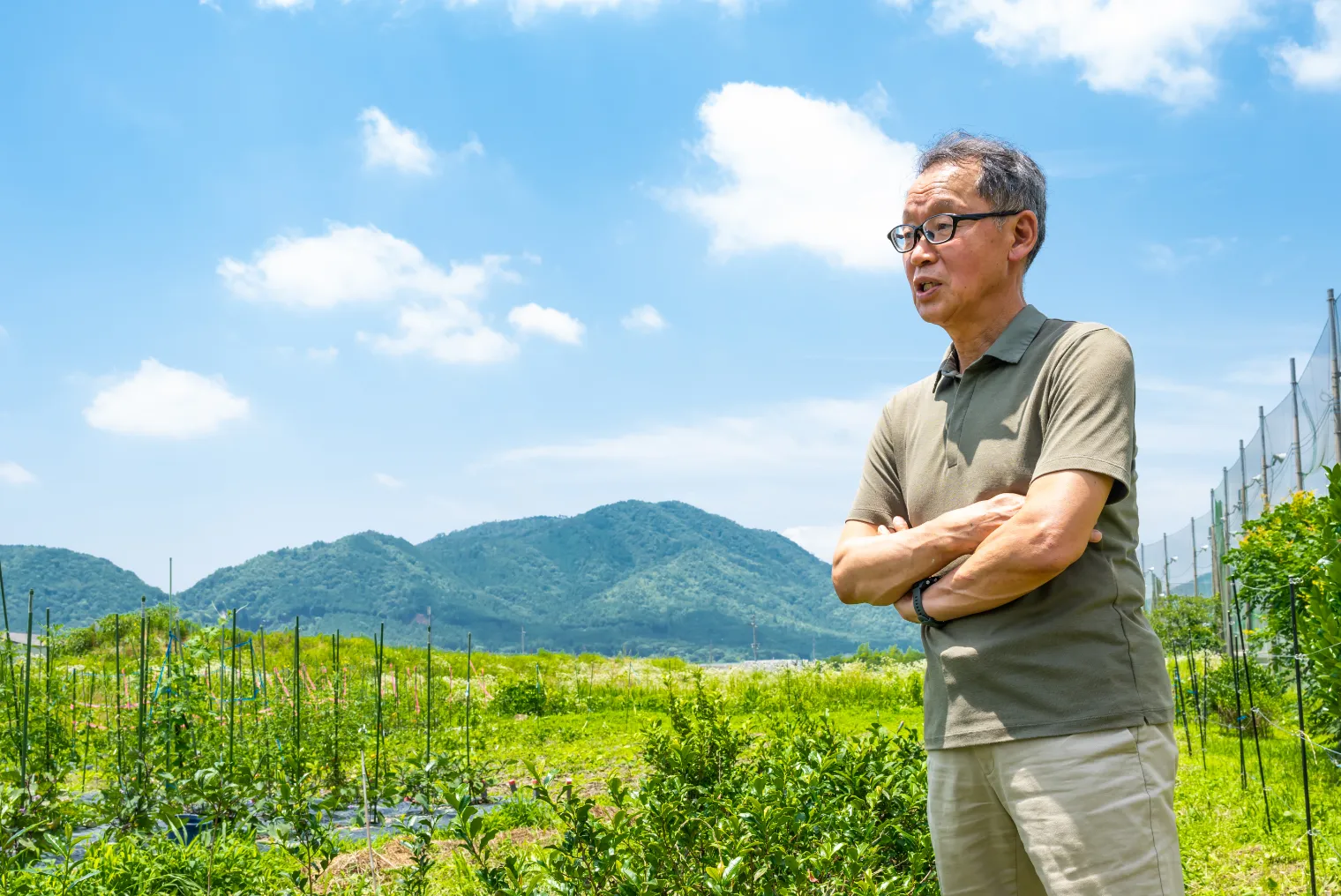 茶畑を背景に、腕を組む藤井さんの画像