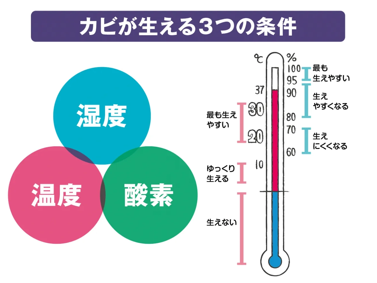 カビが生える3つの条件を示した図とイラスト