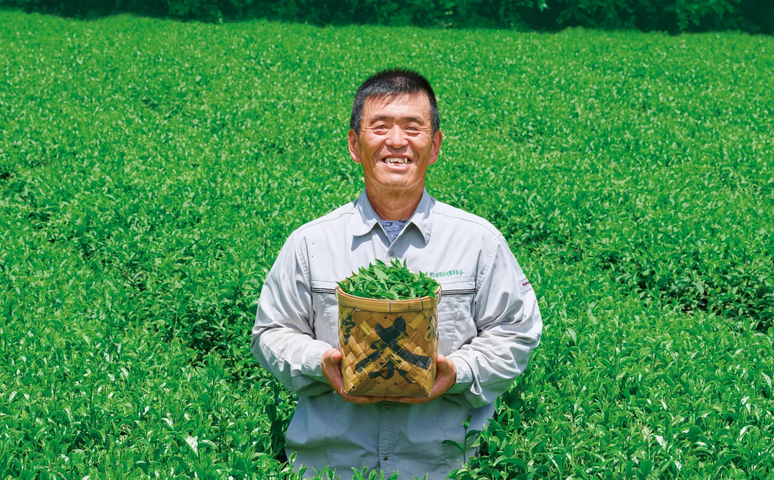 茶畑の真ん中で笑顔の茶農家さんの画像