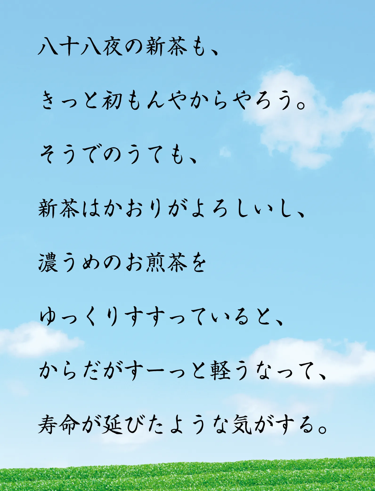 青空の下に広がる茶畑と大村しげの随筆の画像
