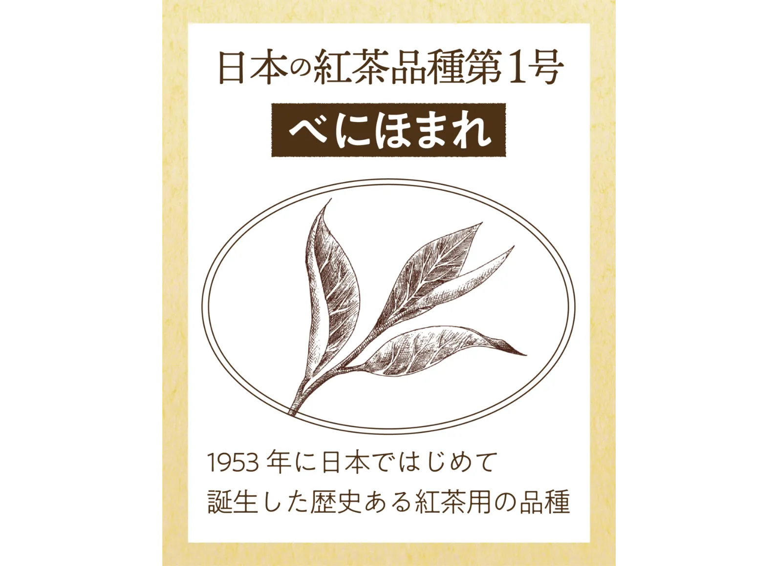 べにほまれの茶葉と説明書きの画像