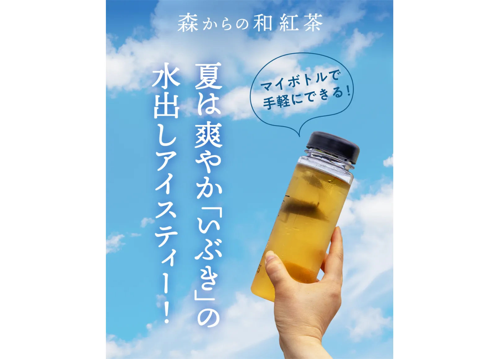 青空に掲げた和紅茶入りのマイボトルとタイトルの画像