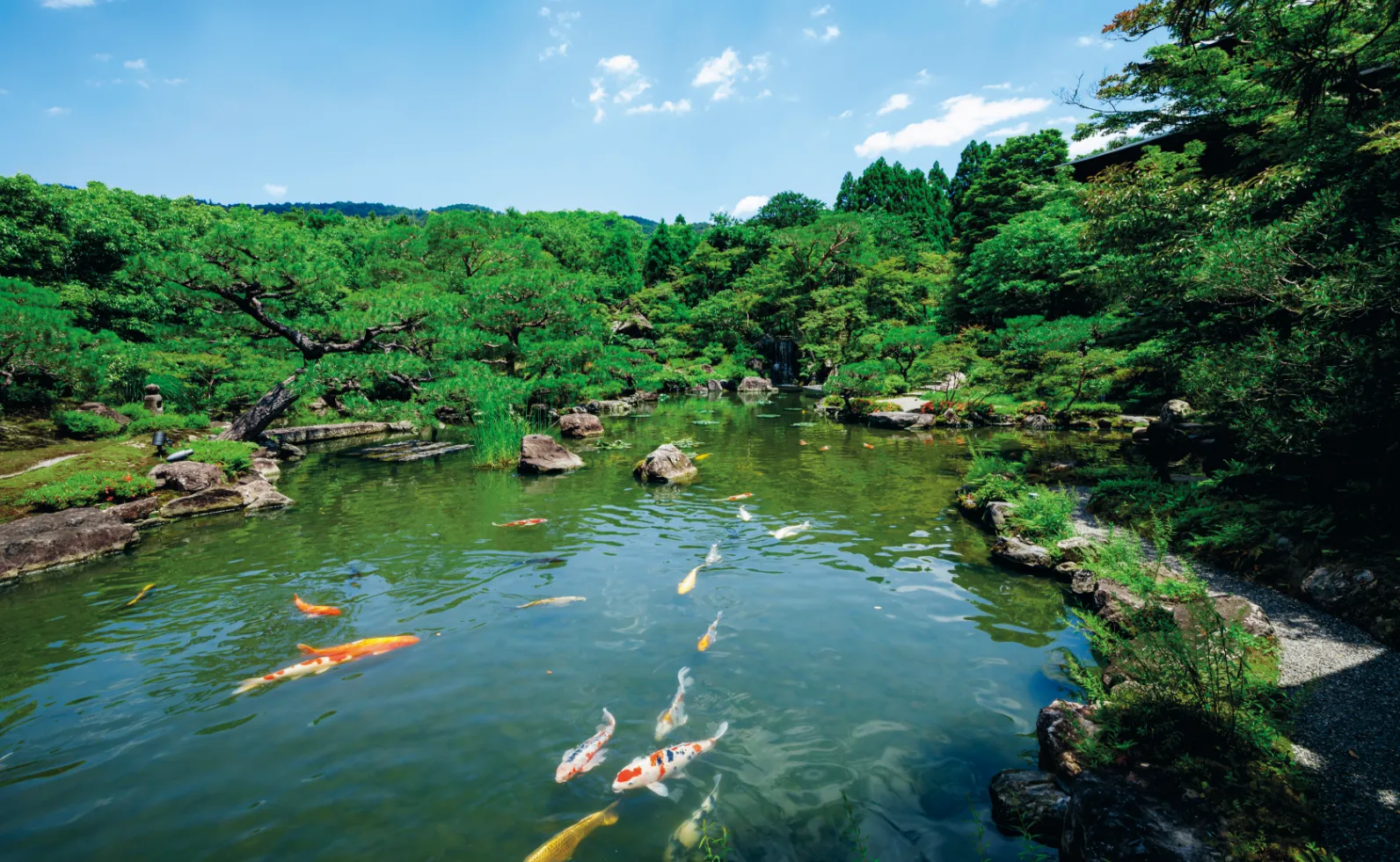 東山の借景の画像